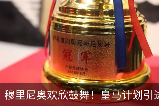 穆里尼奥欢欣鼓舞！皇马计划引进昔日爱徒麦克托米奈